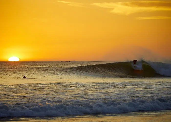 Boutique Surf Hotel Rip Jack Inn