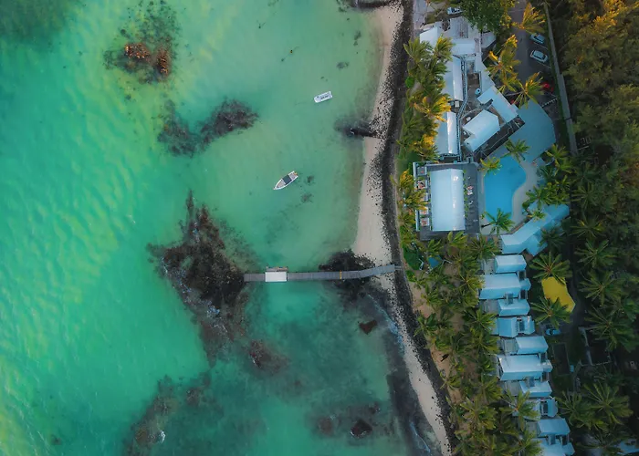 Tropical Attitude (Adults Only)