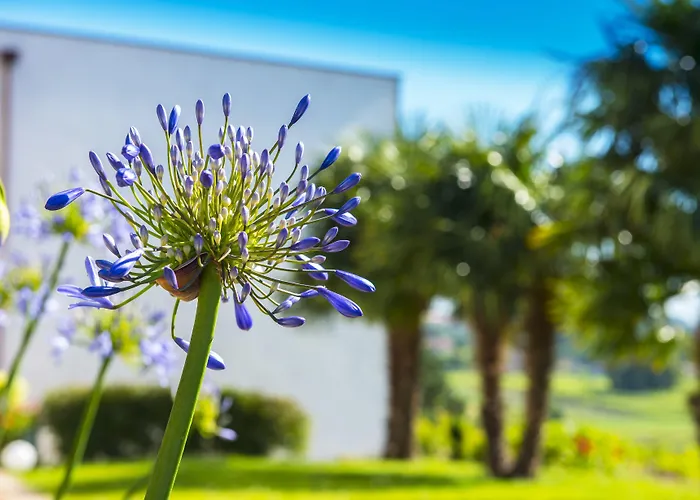 Quinta De San Amaro Rias Baixas