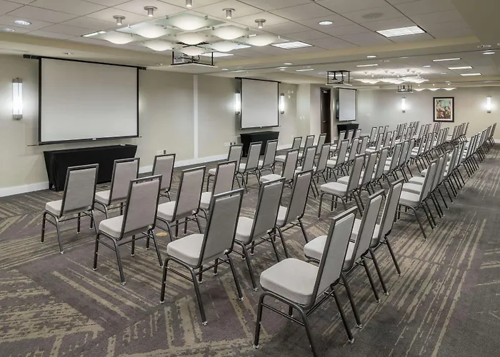 Hilton Garden Inn Dfw North Grapevine