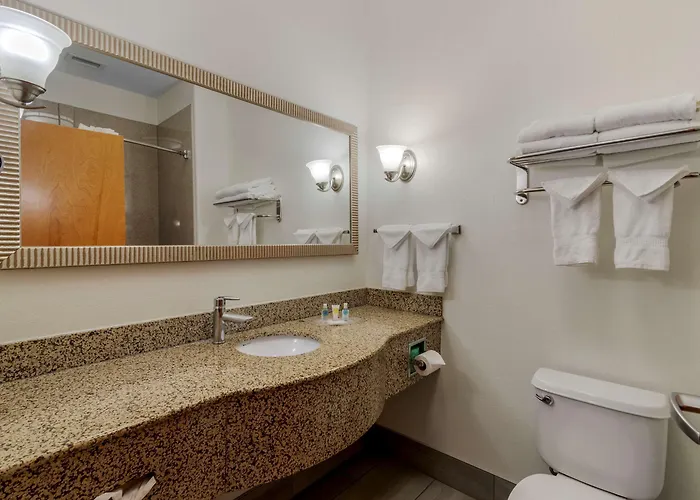 Comfort Suites Stockbridge Atlanta South