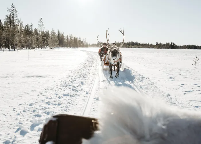 Lapland Hotels Riekonlinna