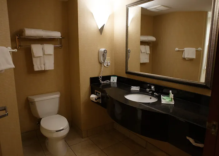 Holiday Inn Battle Creek By Ihg