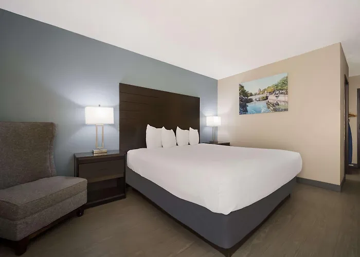 Best Western Executive Inn
