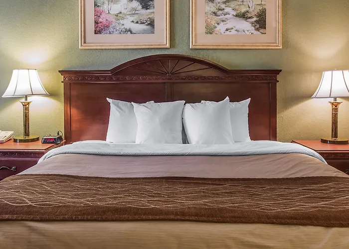 Quality Inn & Suites Ann Arbor Hwy 23