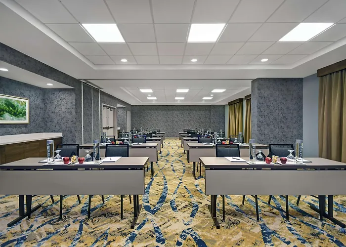 Hilton Garden Inn Houston/Galleria Area
