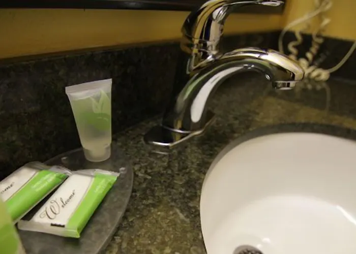 Magnolia Inn And Suites Southaven