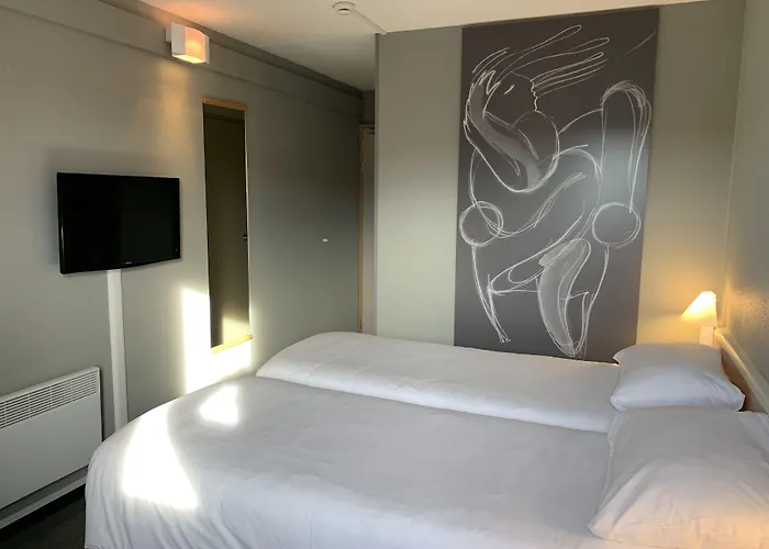 Ibis Auray