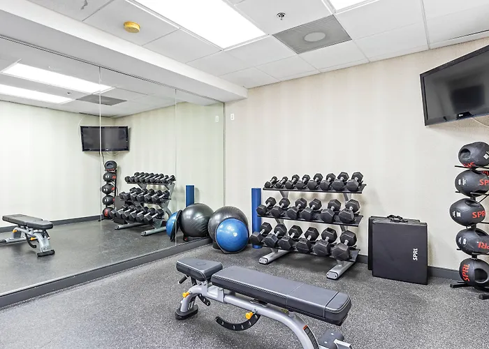 Holiday Inn - St. Petersburg West By Ihg