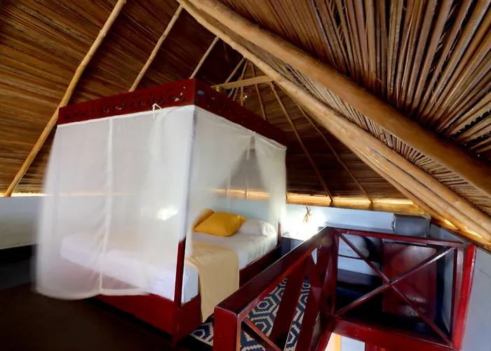 Punta Caracol Acqua Lodge