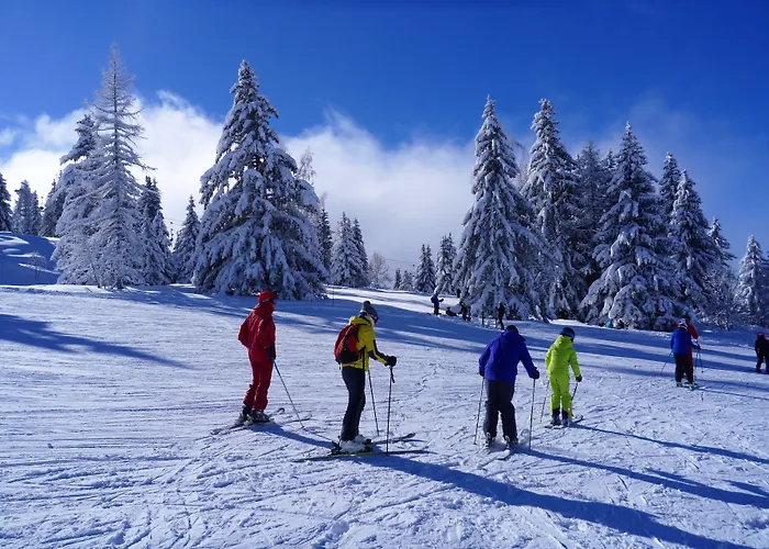Chalet Hotel Du Bois
