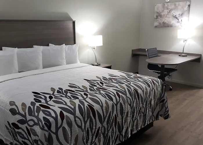 Americas Best Value Inn