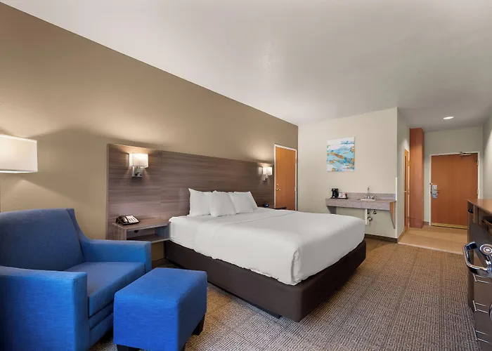 Comfort Inn & Suites Fenton
