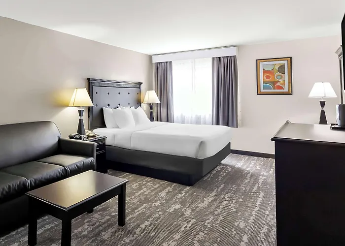 Best Western Saluki Inn