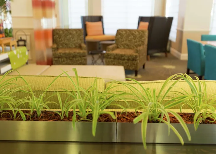 Hilton Garden Inn Saint Augustine Beach