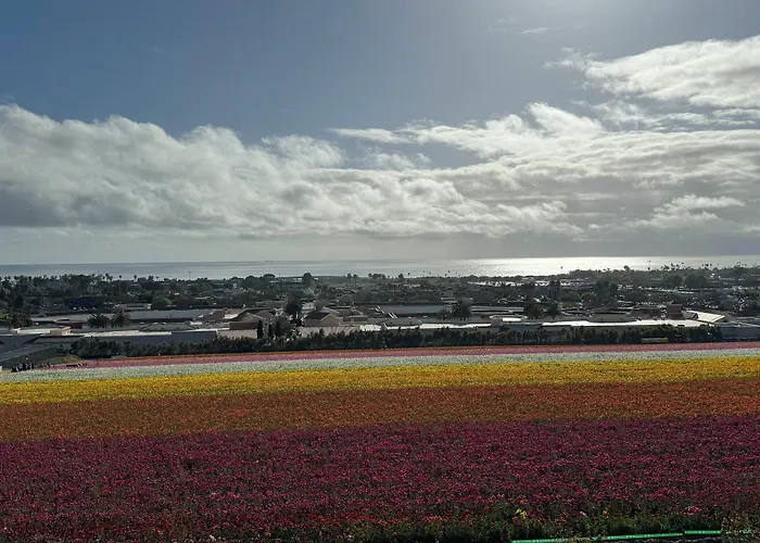 Holiday Inn Express & Suites Carlsbad Beach By Ihg