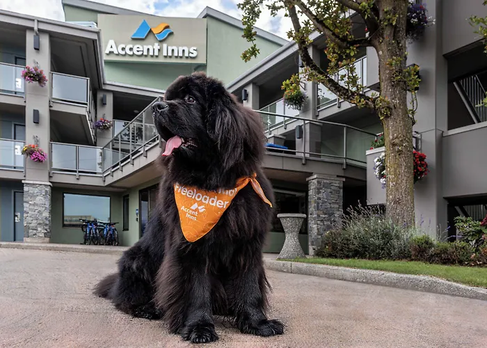 Accent Inns Victoria