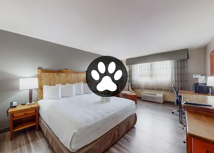 Best Western Plus Rio Grande Inn