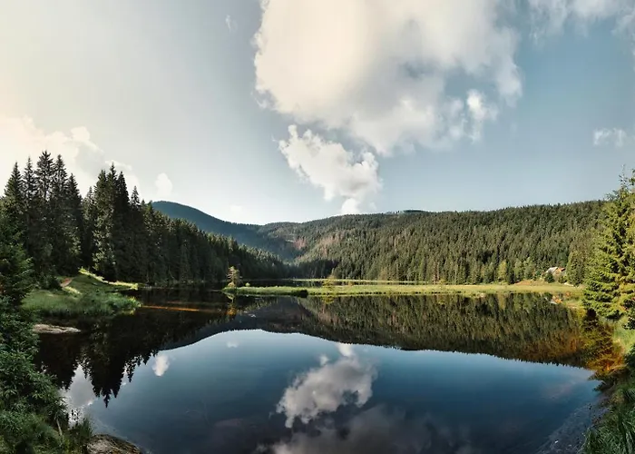 Berghotel Mooshuette Am Arber, Naturidyll Auf 950M, Wandern Direkt Ab Hoteltuer