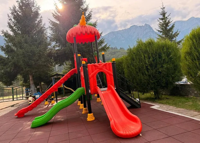 Complex Mona Caraiman