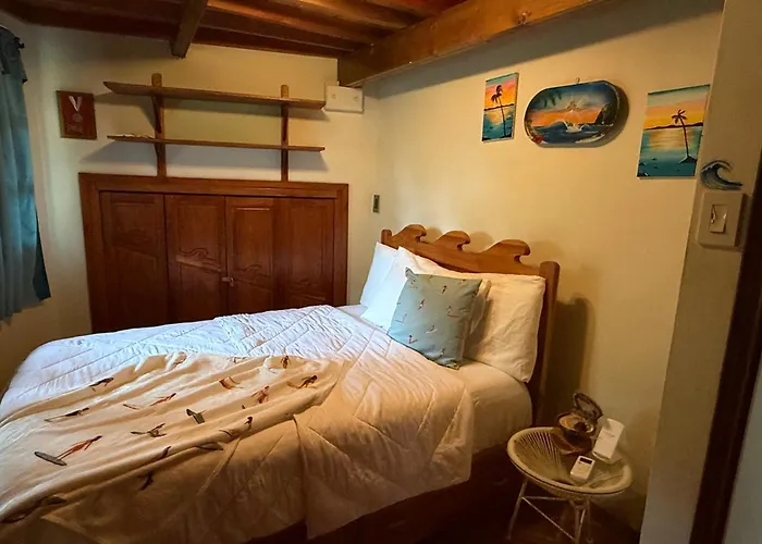 La Casa de Pucha Surf History&Tropical Stay