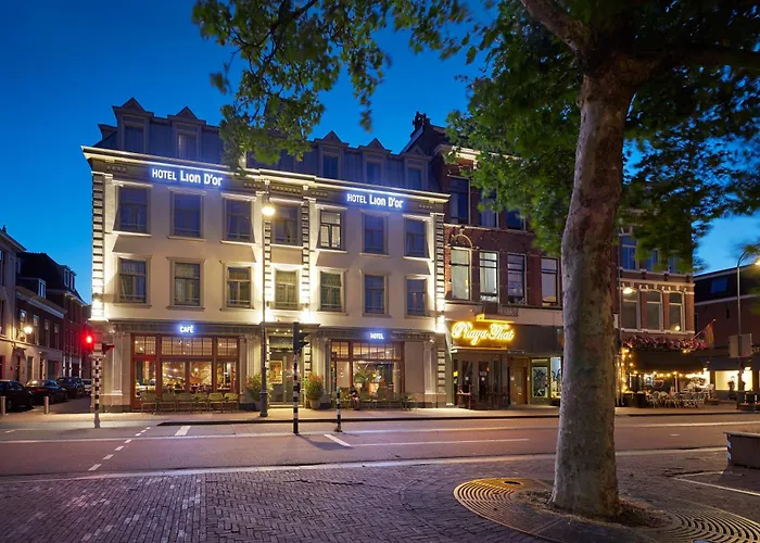 Hotel Lion D'Or
