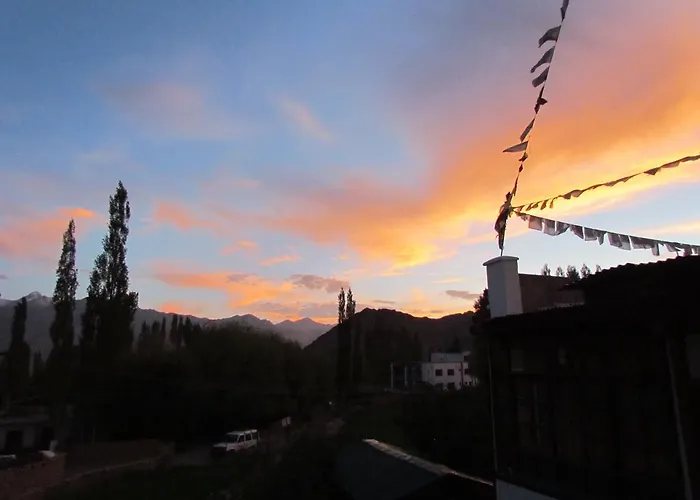 Ashoka Ladakh