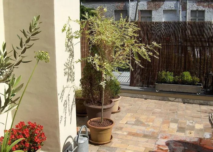 B&B De Lachende Engel