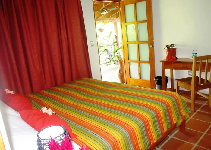 Hotel Iguanito