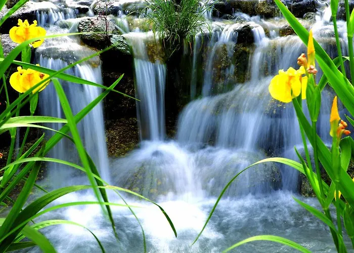 Aquafalls Nature Hotel