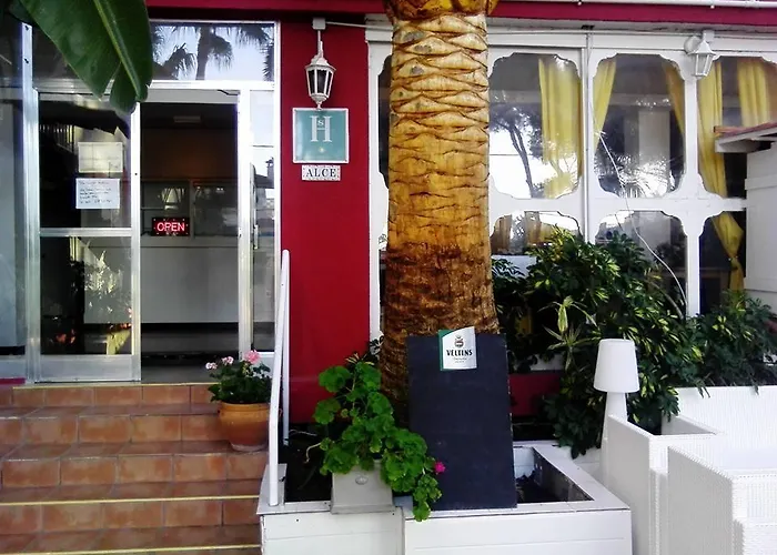 Hostal Alce