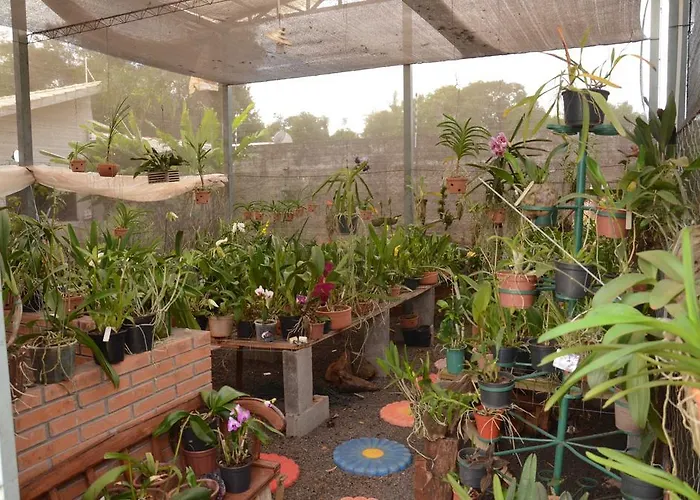 Pousada das Orquideas Foz