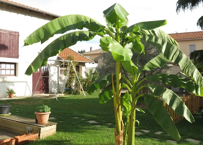La Grange des Griottiers