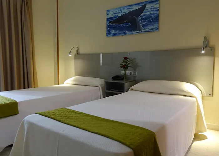 Hotel Andrea'S