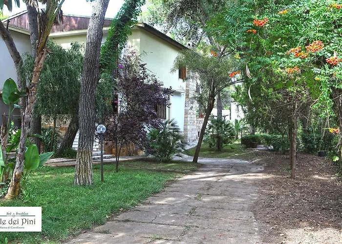 B&B Viale dei Pini