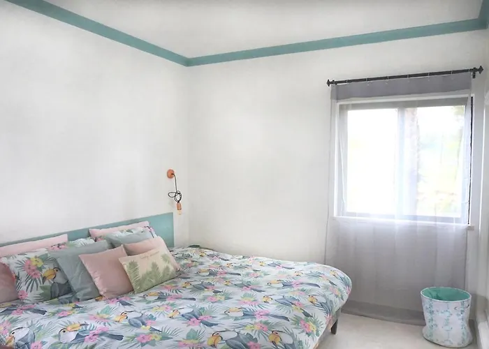 Palmeira Vip Apartment