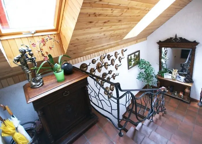 Vila Elvyra