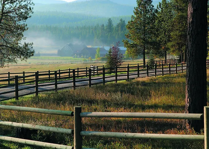 Paws Up Montana