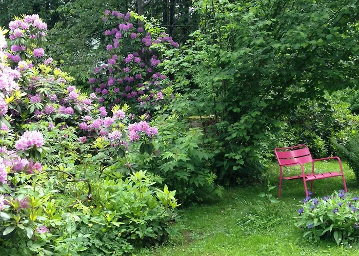 Hotel Am Bach