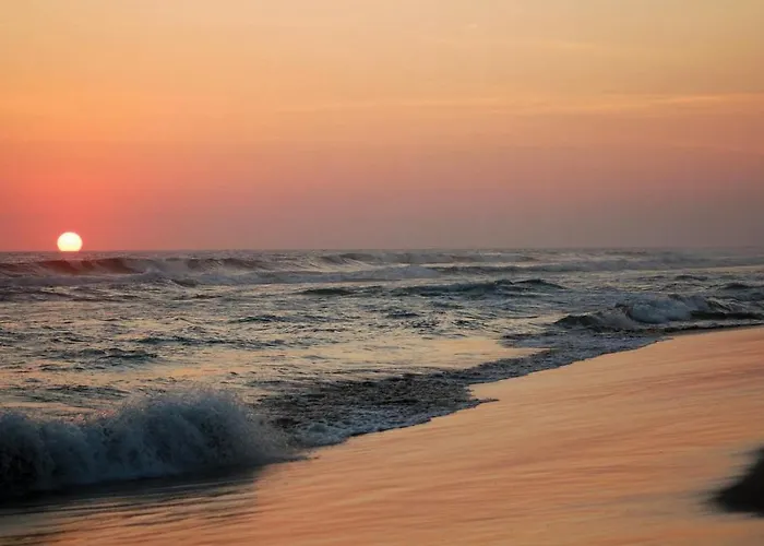 Playa Viva