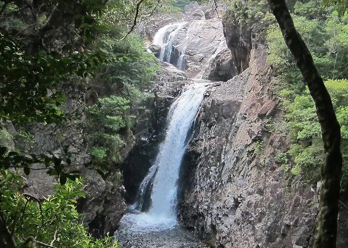 Yakushima Iwasaki Hotel