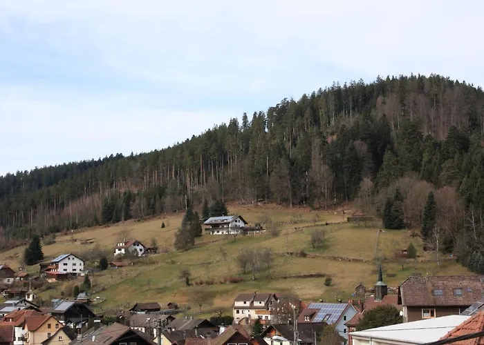 Schwarzwald-Gasthof Hirsch