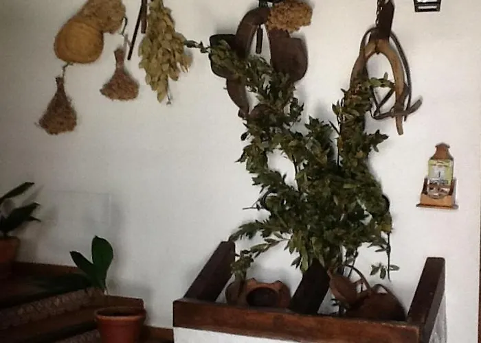Hotel Posada San Antonio