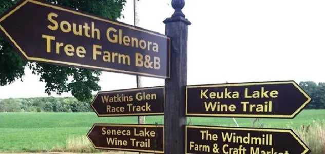 The South Glenora Tree Farm