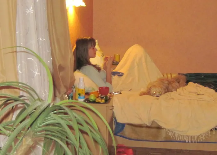 Economy Hotel Fiesta