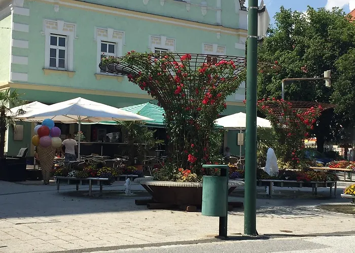 Hotel Braun