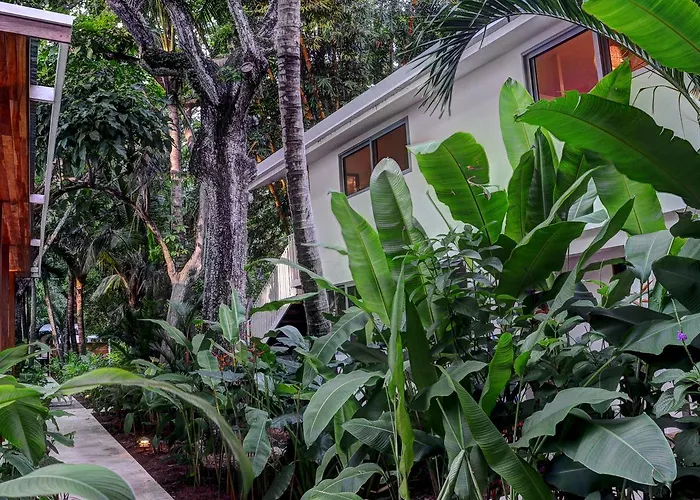 Moana Surf Resort