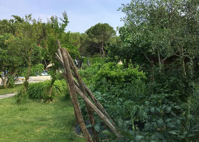 Hotel Terme Vulcania