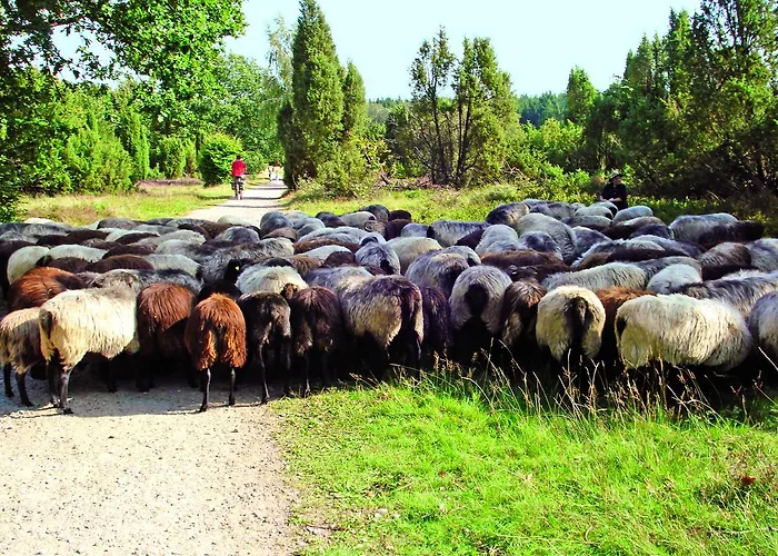 Landgasthaus Zum Naturschutzpark