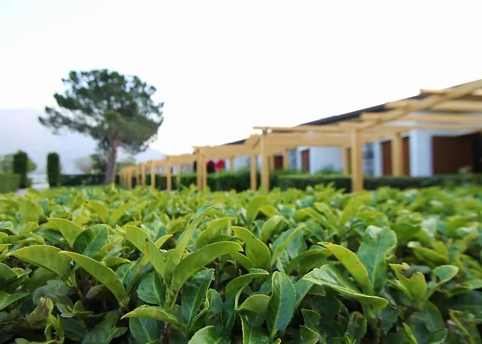 Hotel Camping Europa
